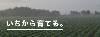 こだま試験農場株式会社