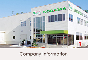 Company Information